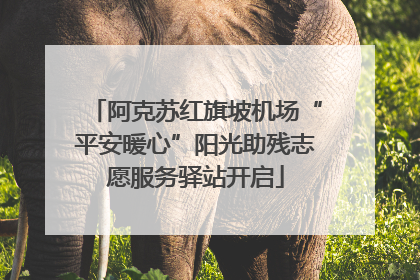 阿克苏红旗坡机场“平安暖心”阳光助残志愿服务驿站开启